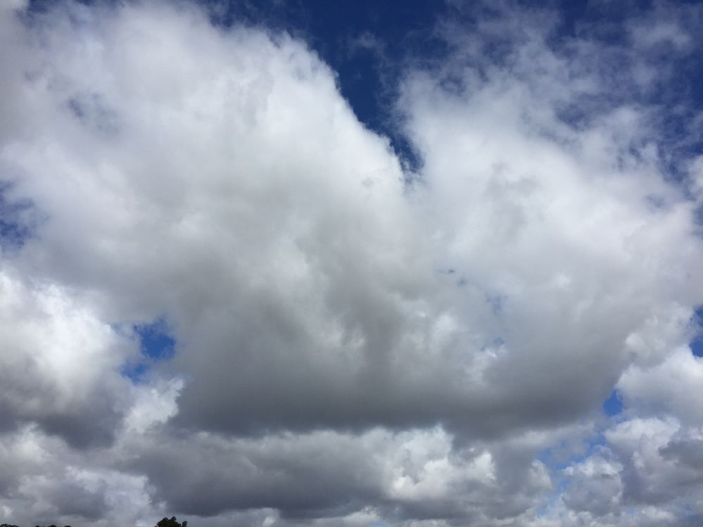 I’m always fascinated but the weather and clouds that bring us water.